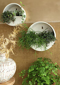 38481-white-1