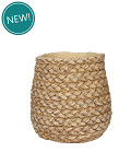 38468-brown-0