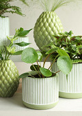 38283-green-5