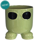 38434-green-0