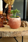 36219-brown-4