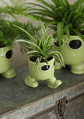 38442-green-4