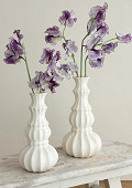 35404-cream-1