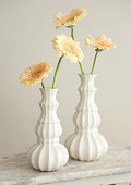 35404-cream-4