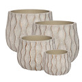 33781-cream-4