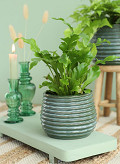 33952-green-3