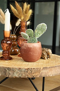 36219-brown-3