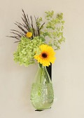 29739-black-5