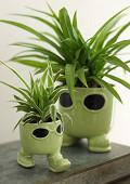 38442-green-5