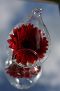 30198-clear-3