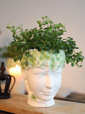 33494-green-2