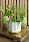 38282-green-5