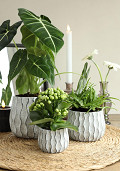 33791-grey-3