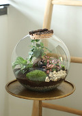 CC831-clear-4