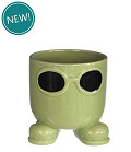 38432-green-0