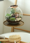 CC831-clear-1