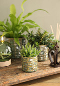 38472-green-4