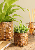 38462-brown-1