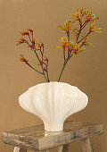 39021-cream-1