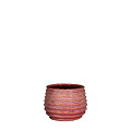 33982-red-0