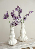 35414-cream-4