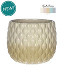 38355-cream-0