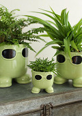 38431-green-4