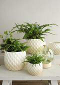 38352-cream-2