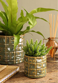 38472-green-1