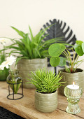 33252-green-2