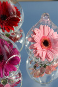 30203-clear-2