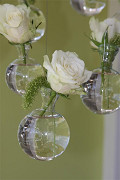 28010-clear-1