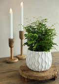 33784-cream-4