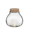 30184-clear-0