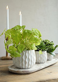 33781-cream-3