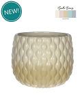 38354-cream-0