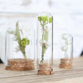 29409-clear-1