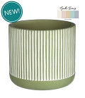 38284-green-0