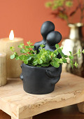 33681-black-1