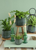 33952-green-4