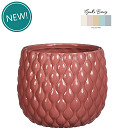 38374-pink-0