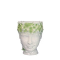 33493-green-0