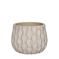 33783-cream-0