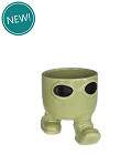 38442-green-0