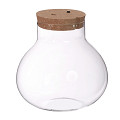 30189-clear-1
