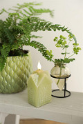 32765-green-1