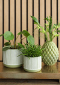 38281-green-3