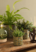 38473-green-3