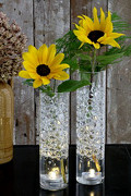 30104-yellow-1