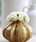 31102-cream-1